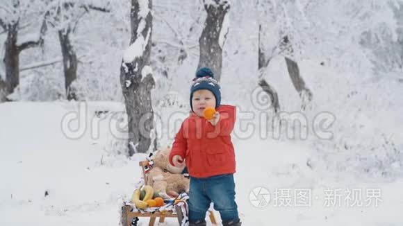 带雪橇的小男孩视频