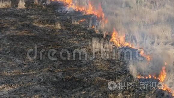 在野外开火视频