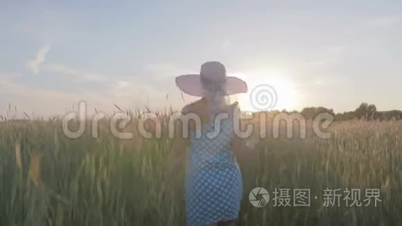 一个穿着浅色连衣裙和帽子的快乐女人的肖像。 日落时分，女孩带着谷类植物走在田野上