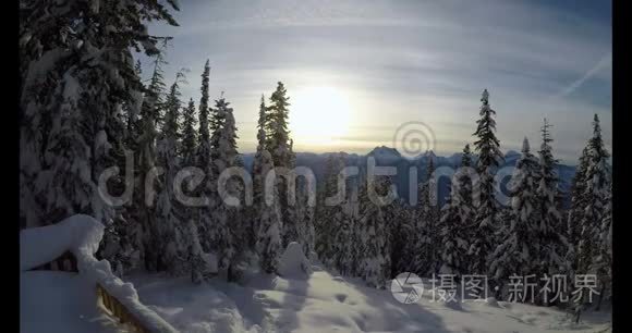 雪景上的松树视频