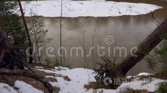 春天的野生海岸森林河流视频