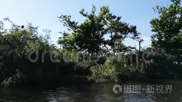 葡萄牙特霍河上的苍鹭保护区视频