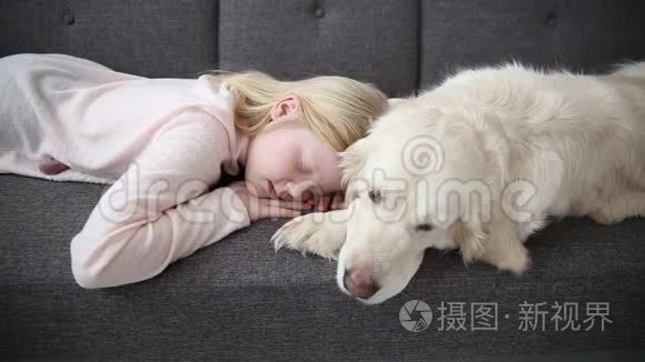 对宠物的爱。 小女孩和她的狗在客厅的沙发上休息。