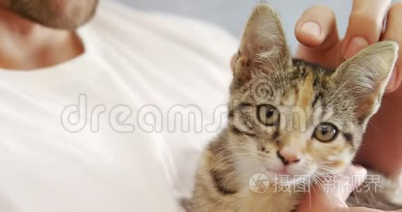 年轻人在家里抚摸他的猫