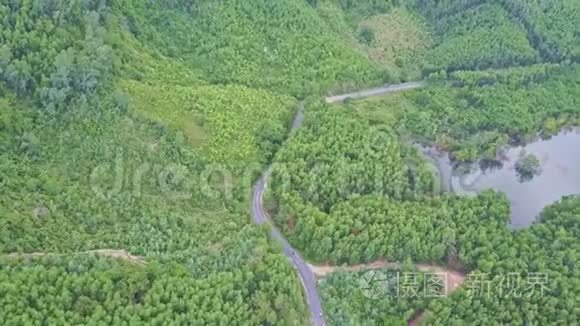 沿湖公路的鸟瞰香蕉和植树视频