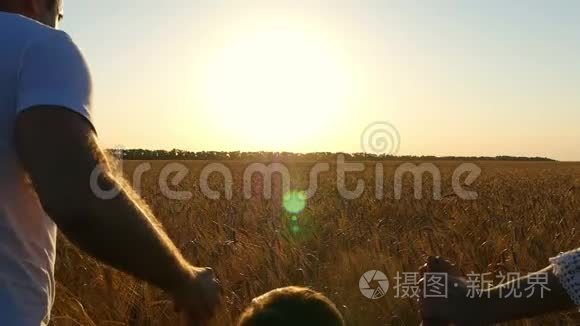 幸福的一家人在夕阳下穿过麦田视频