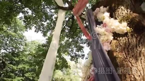 为婚礼装饰的漂亮大树视频