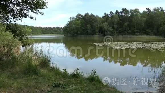 夏季的湖泊景观。 德国哈弗兰的乡村。