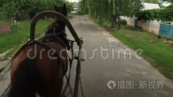 马车在郊区的十字路口转弯视频