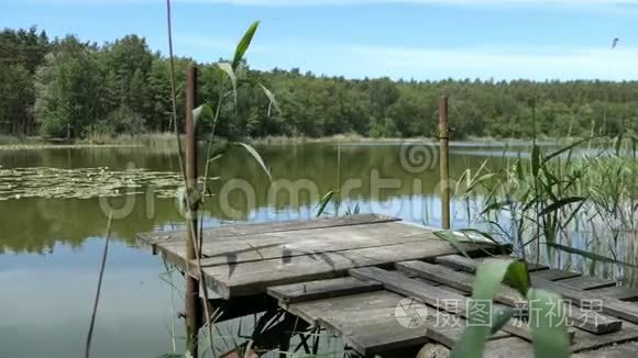 夏季的湖泊景观。 德国哈弗兰的乡村。