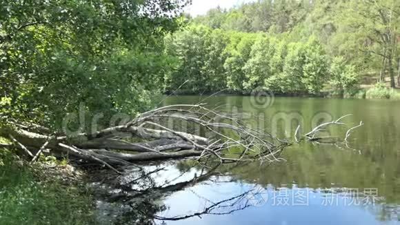 夏季的湖泊景观。 德国哈弗兰的乡村。