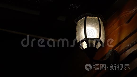 夜间在老式灯灯周围飞行的昆虫视频