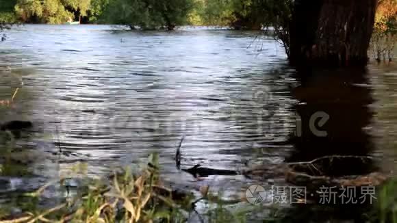 自然波浪和倒影的河景视频