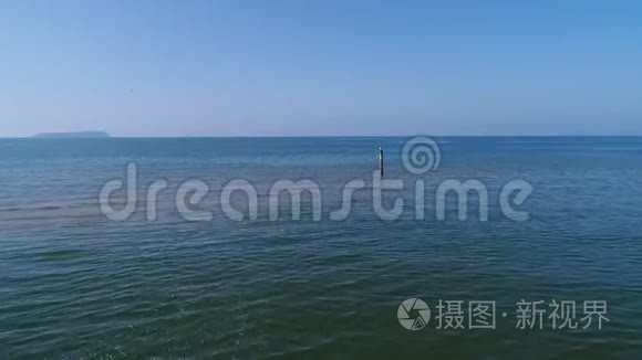 鸟瞰美丽的大海与海鸥视频