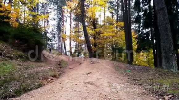 小男孩在通往树林的小路上奔跑视频