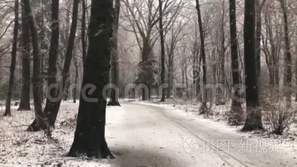 冬天，森林里的一个犯罪现场前有很多降雪的消防队路障