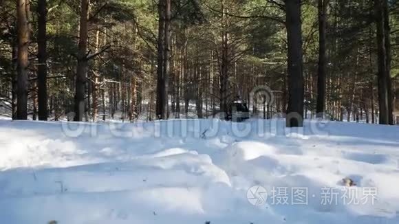 在雪地摩托上滑雪的父亲和孩子视频