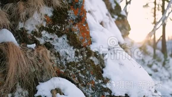 冬天的自然风景雪山晴天视频