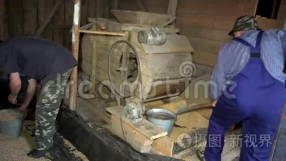 两名农场工人在收割粮食时工作