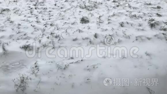 绿色草地上的第一场雪视频