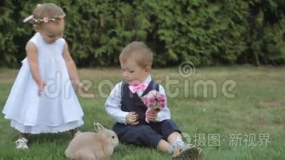 小孩子和兔子在草地上玩耍视频