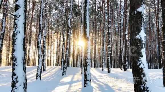 日落时宁静的冬季自然景观