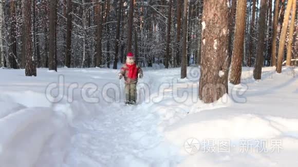 晴朗的天气，可爱的小男孩在森林里滑雪