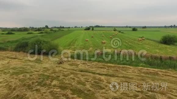 欧洲春天的绿色田野和草地视频