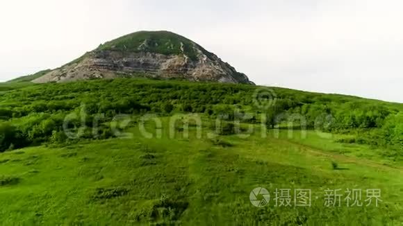 从树上飞向破碎的山