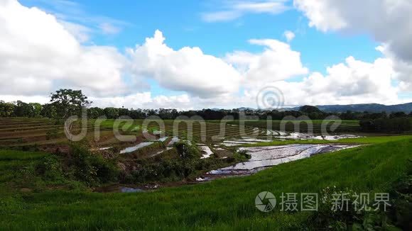 高地水稻梯田时间流逝视频