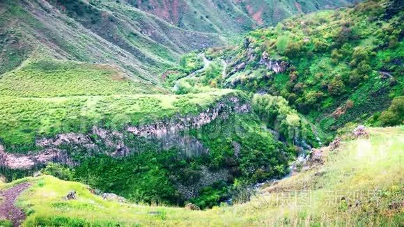 山中森林景观的雨水、平静的自然景象