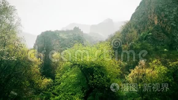 山中森林景观的雨水平静的自然景象