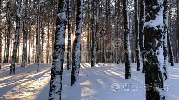 日落时宁静的冬季自然景观