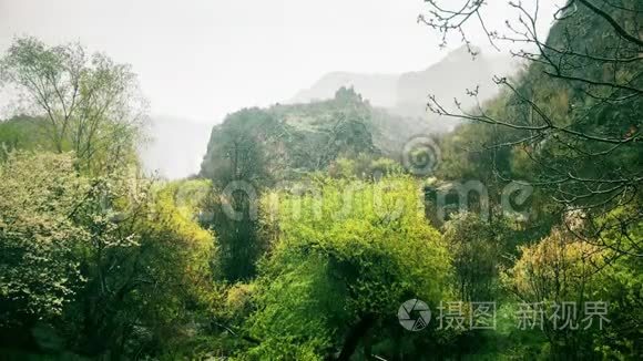 山中森林景观的雨水、平静的自然景象