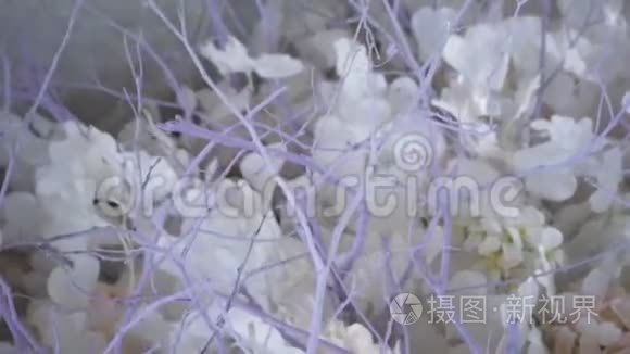 结婚装饰品。 鲜花和干花的插花