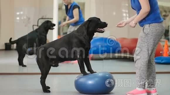 那个女人把零食给了黑狗视频