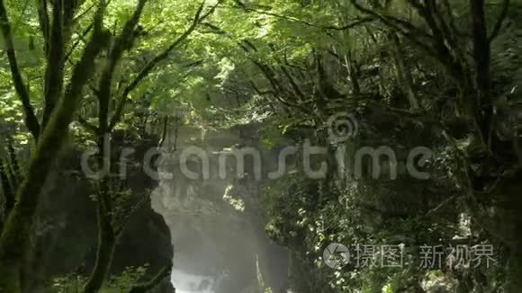 乔治亚州的马尔维利峡谷深处