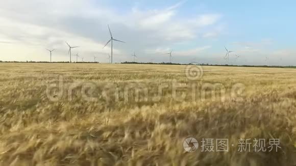 在晴朗的阳光天气里，有风车和小麦的景观。 空中勘测。 关门