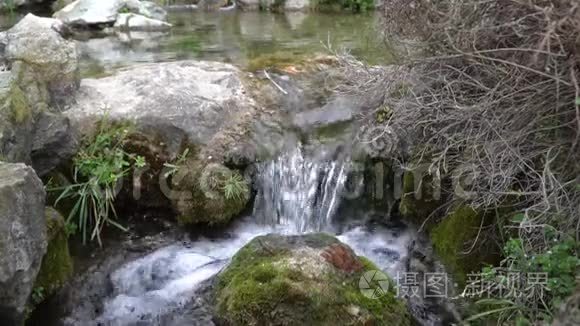 蓝天和阳光下绿油油的草地视频