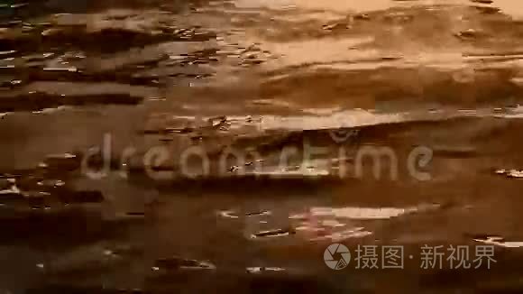 金流动液视频