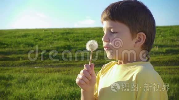 小男孩在绿色的草地上吹蒲公英的种子