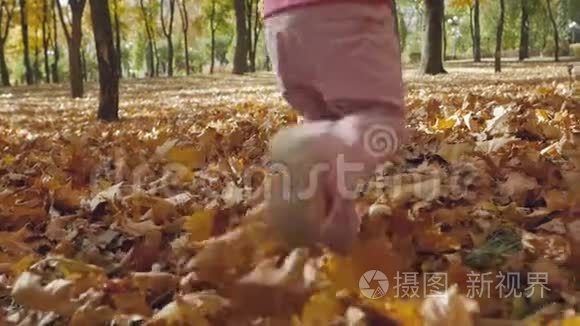 秋天公园里快乐的孩子在户外玩耍
