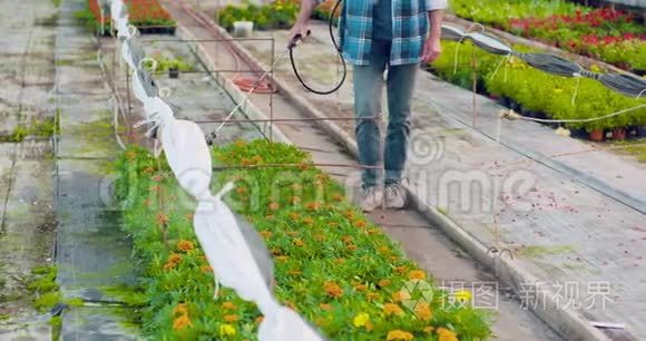 温室花卉喷施农药视频