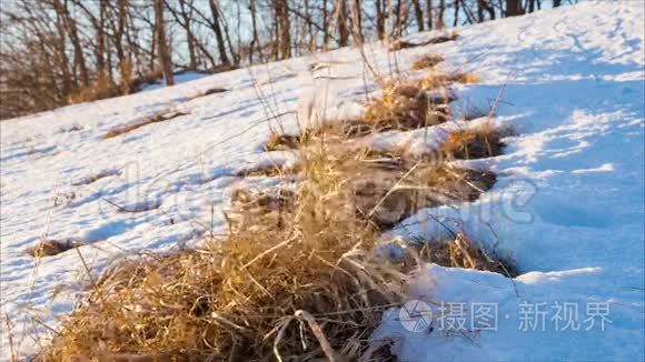 山坡上白雪皑皑的草地