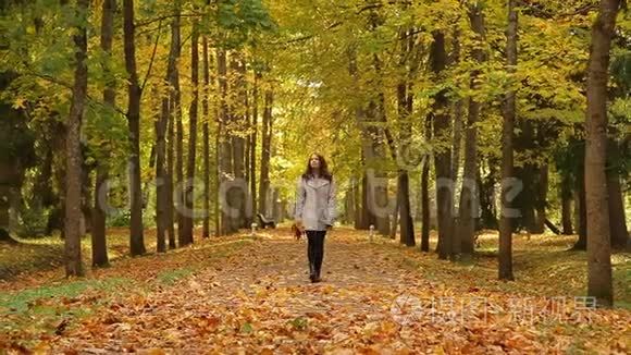 秋天，美丽的年轻女子在公园里徘徊，手里拿着一束叶子，转身扔树叶