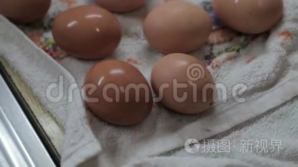 厨房桌上煮鸡蛋视频