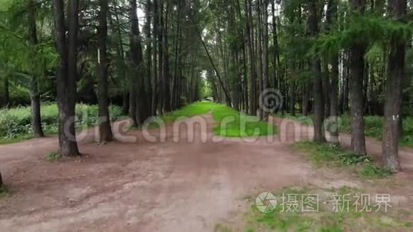 在森林的小径上行走的个人视角视频