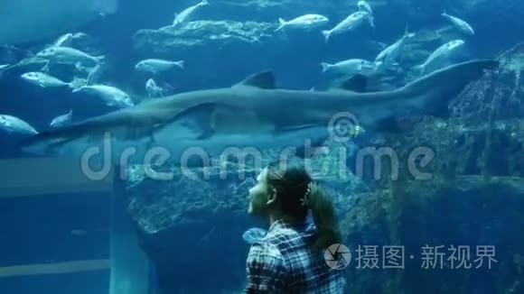 迪拜购物中心水族馆里的女孩视频