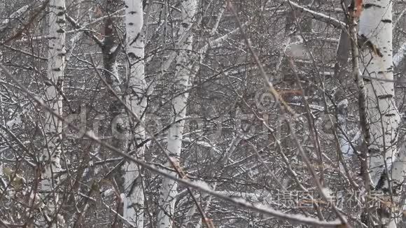 深秋冬来，风吹雪重..