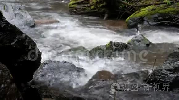 太平洋西北一条冒泡的溪流视频
